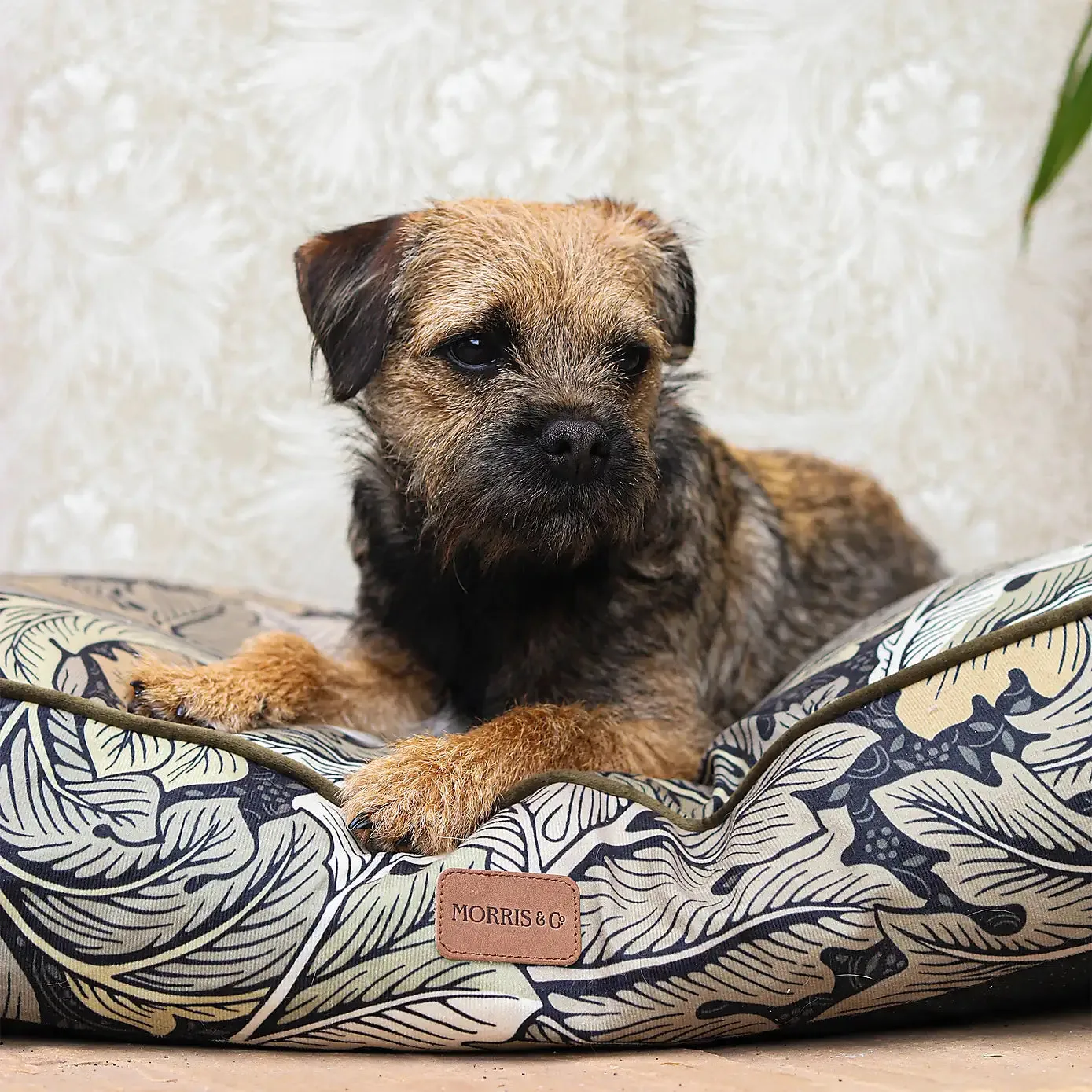 Morris & Co Acanthus Print Dog Mattress